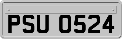 PSU0524