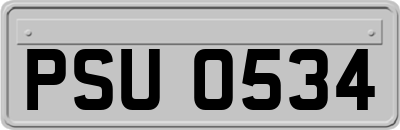 PSU0534