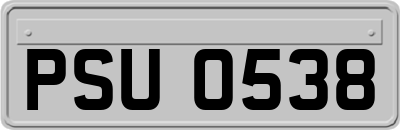 PSU0538