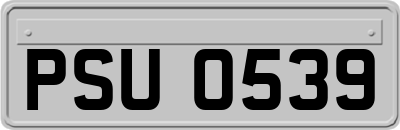 PSU0539