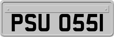 PSU0551