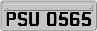PSU0565
