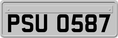 PSU0587