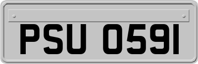 PSU0591