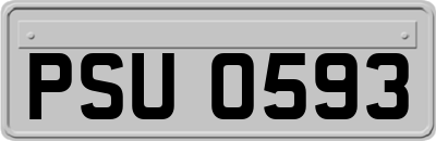 PSU0593