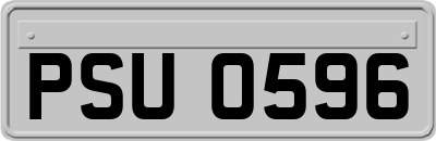 PSU0596