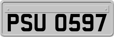 PSU0597
