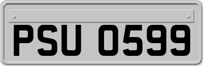 PSU0599