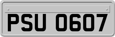 PSU0607