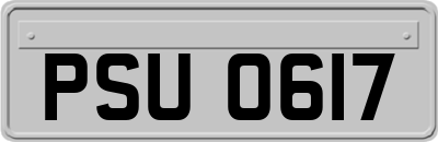 PSU0617
