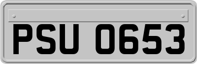 PSU0653