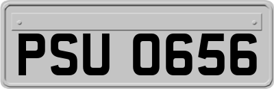 PSU0656