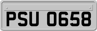 PSU0658