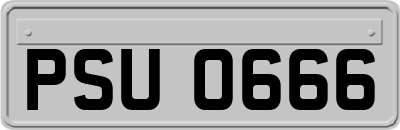 PSU0666