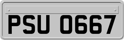 PSU0667