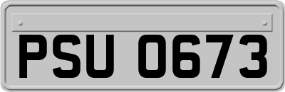 PSU0673