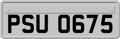 PSU0675