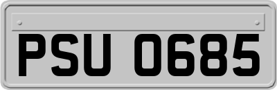 PSU0685