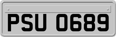 PSU0689