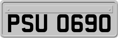 PSU0690