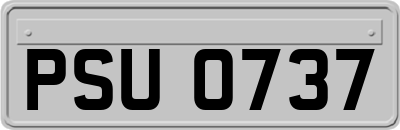 PSU0737