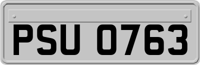PSU0763