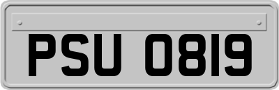 PSU0819