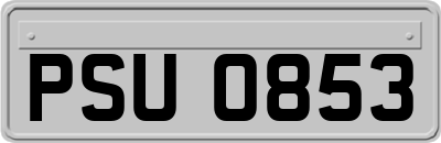PSU0853