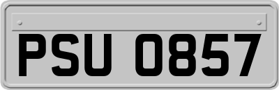 PSU0857