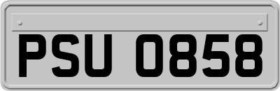 PSU0858