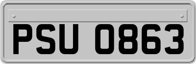 PSU0863
