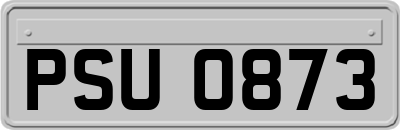 PSU0873