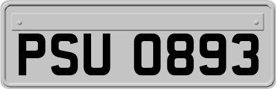 PSU0893