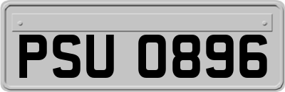 PSU0896