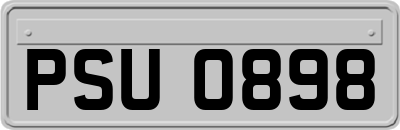 PSU0898