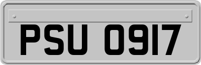 PSU0917