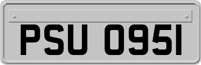 PSU0951