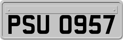 PSU0957