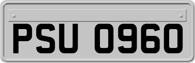 PSU0960