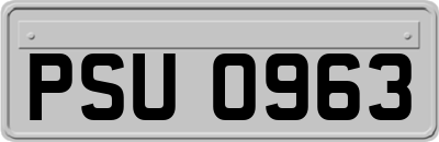 PSU0963