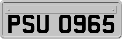 PSU0965