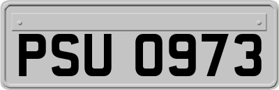 PSU0973