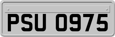 PSU0975