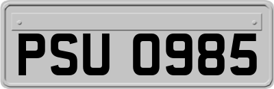 PSU0985