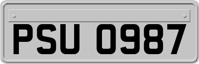 PSU0987