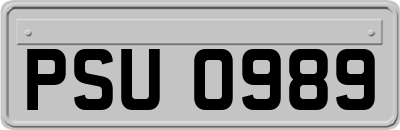 PSU0989