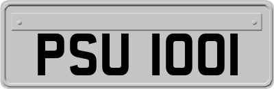 PSU1001