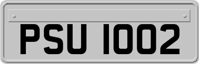 PSU1002