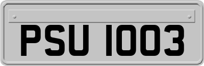 PSU1003