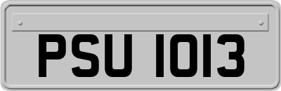 PSU1013